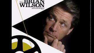 Brian Wilson - Run James Run (Audio)