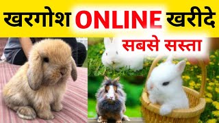 Pets Online Shopping In India | Pets Online Shoping App | Rabbit For Sale | Dog By Online