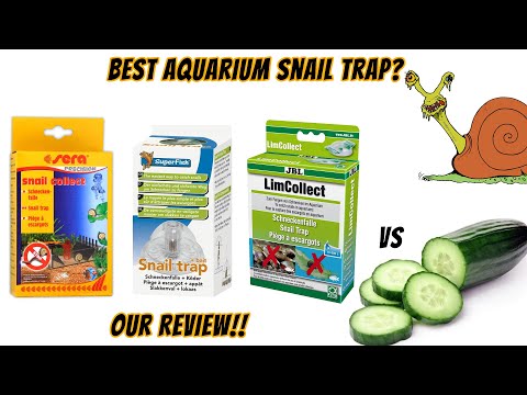 Best Aquarium Snail Trap. Sera Snail Trap - Super Fish Snail Trap - JBL Snail Trap