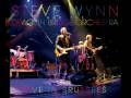 Steve Wynn | "Bring the Magic" off Live in Brussels |  Advanced Listen