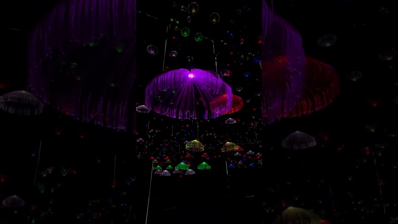 YouTube Short thumbnail