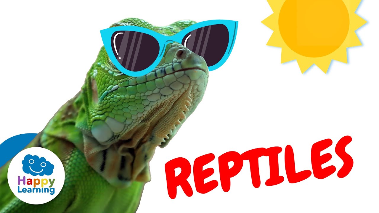 CURIOSIDADES SOBRE LOS REPTILES | Happy Learning 🦕 🦎 🐍