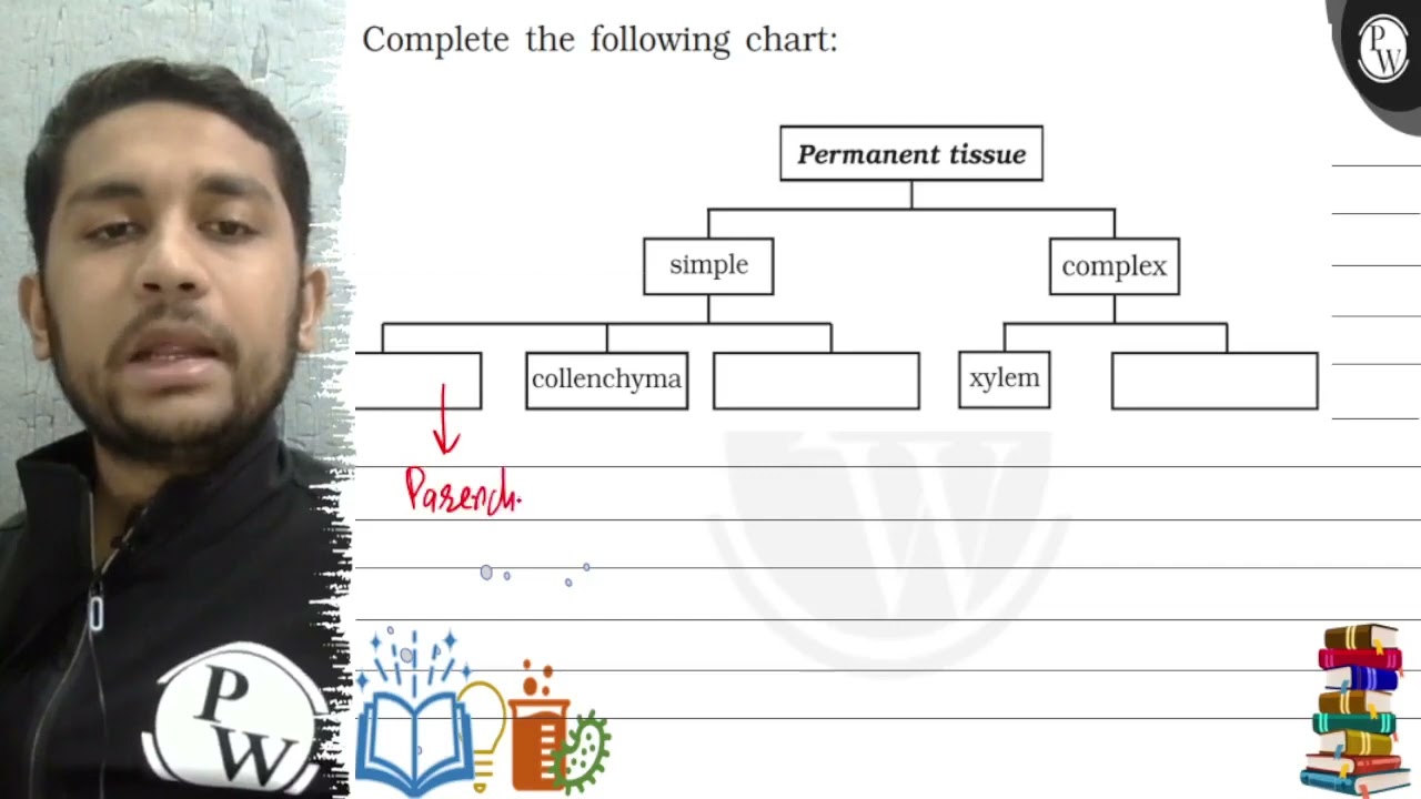 Watch video Complete the following chart: Permanent tissue complex collenchyma ... Now Complete the following chart: Permanent tissue complex collenchyma ...