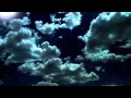 Wake Up, I'm Leaving.mov