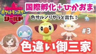 【ポケモン剣盾】色違い厳選で色違い御三家！やっと色違いサルノリでました【Switch】