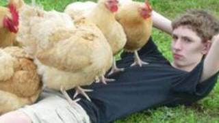 COVERED IN CHICKS -- IMG! #41