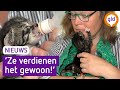 Luciënne heeft geen kinderen maar brengt kittens groot