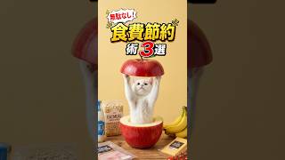 無駄なし!食費節約術3選
