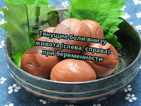 Артрит коленного сустава аппаратов Если болит грудь поясница
