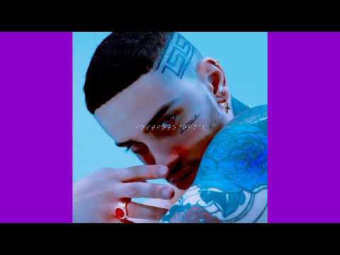 ANIMAL - Davi Cintóri (Male Version)