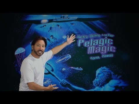 "Pelagic Magic" Black Water Dive "A Journey into Inner Space."