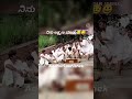 Kannada Comedy Sadhu Kokila Sanju Weds Geetha Srinagara Kitty Ramya Kannada Comedy Reels
