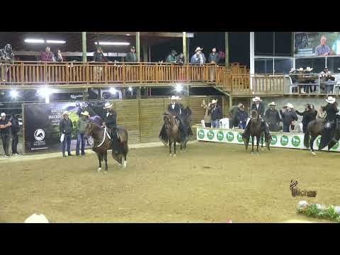 TRIUNFADOR DE LA MARIA, GRAN CAMPEÓN RESERVADO TROCHA COLOMBIANA  ENTRERRIOS ANTIOQUIA 2026