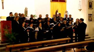 preview picture of video 'Coro Alcazaba. Concierto de Navidad 2009 en Caniles (Granada):  Suite navideña.'