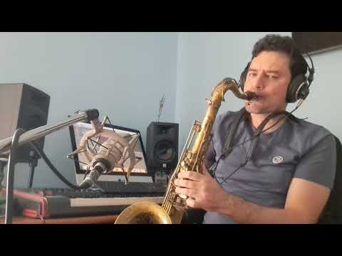 Stefan Certic - Human (Saxophone Cover by Manuel Trabucco)