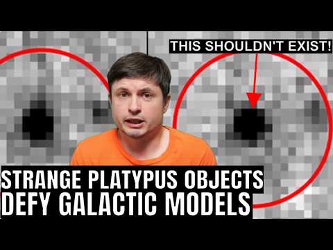 Never Before Seen Platypus Objects Break Galactic Models