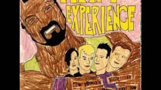 The Mr T Experience Disconnection