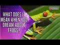 What Does It Mean When You See A Frog In Your Dream
