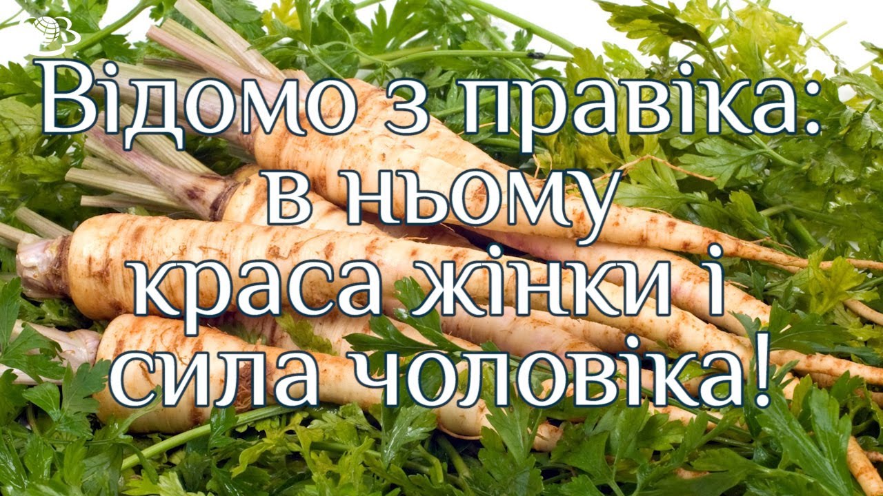 Магазин Зелена Планета Магазин Зелена Планета