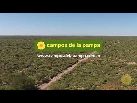 15.000 Ha Limay Mahuida - La Pampa