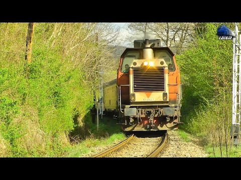 Easter Horns Show de Paste By Torpila-LDH 82-0562-7 in Muntii Apuseni Mountains - 16 April 2017