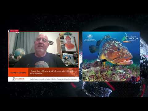 youtube-video-thumbnail