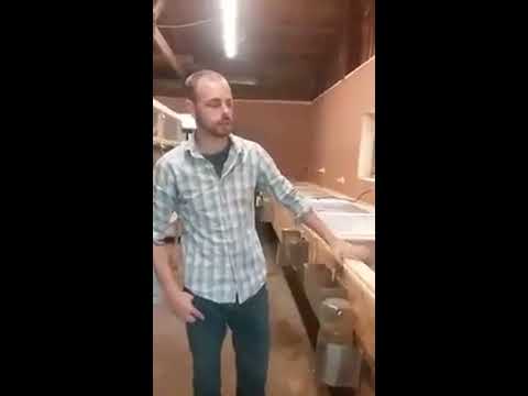 myshire farm quail brooder tour