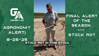 Agronomy Alert! 9-25-25