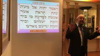 פרשת שמות - קושי הגלות לפני גאולת מצרים - וההשלכה לגלות והגאולה בימינו - הרב ינון קלזאן (הרב ינון קלזאן) - התמונה מוצגת ישירות מתוך אתר האינטרנט יוטיוב. זכויות היוצרים בתמונה שייכות ליוצרה. קישור קרדיט למקור התוכן נמצא בתוך דף הסרטון