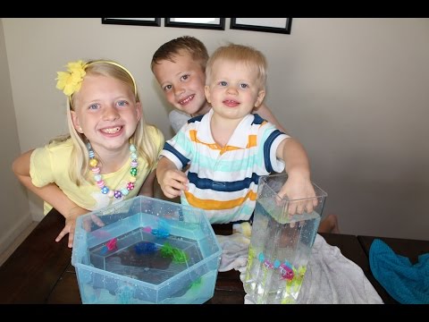 HEXBUG Aquabot Jellyfish, Sea Horse & Remote Control Angelfish