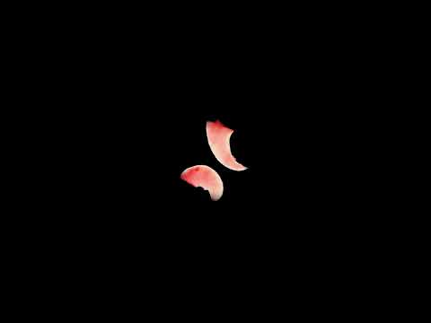 Video thumbnail for ​i’m gonna find out