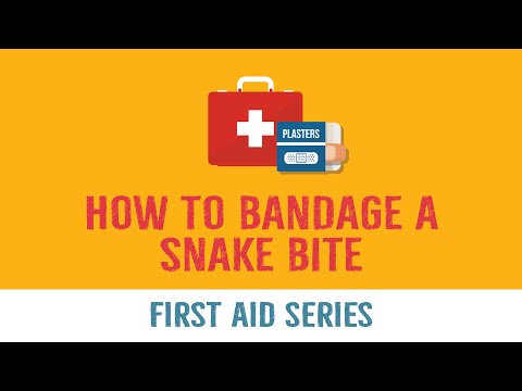 How to Bandage a Snake Bite