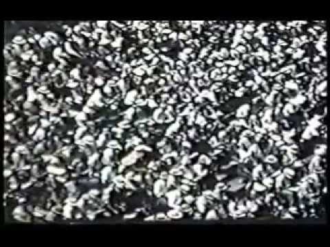 1957 DuQuoin State Fair HOOT SONG Hambletonian 2nd Div-1st Heat Ralph Baldwin