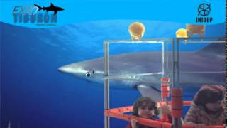 DIA 3 Expo Tiburon154