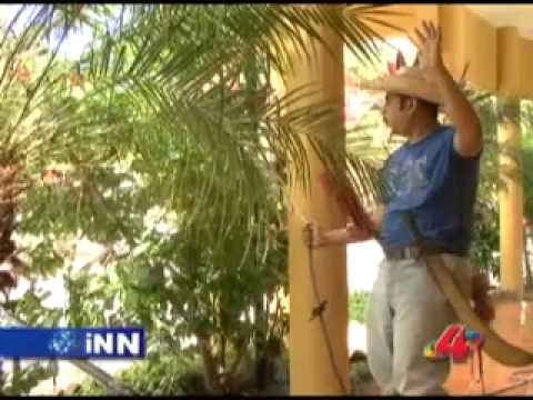 020 iNN - agapito y los dolares.mp4