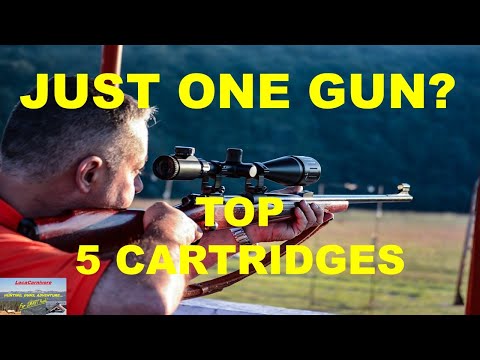 TOP 5 Cartridges For The 1 GUN Hunter