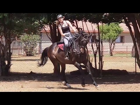 Seyunique Equestrian- Takirah riding Tanzanite 2018 lesson
