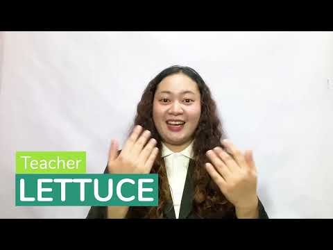 Lettuceのプロフィール動画