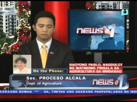 Royal buto para sa pagbaba ng timbang Jess plus slimming