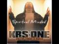 KRS One - Free Mumia