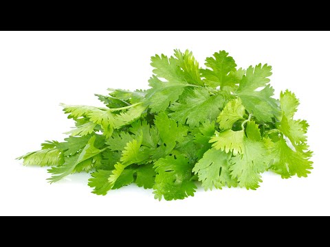 Menu para sa buong linggo para sa pagkawala timbang Recipe para sa pagbaba ng timbang sa tradisyonal na gamot
