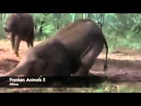 Der Bierkasten ist leer!