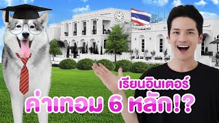 พาชิโร่ไปโรงเรียนฝึกสุนัขอันดับ 1 ในประเทศไทย! I ติดเต๋า