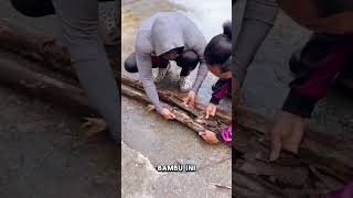 Download lagu Trik Unik Tangkap Belut dengan Bambu! 😱 #Shorts #fishingtrick #belut mp3 Download lagu Trik Unik Tangkap Belut dengan Bambu! 😱 #Shorts #fishingtrick #belut mp3