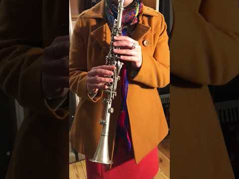 Clarinet Metal Noblet Paris - Silver plated image 6