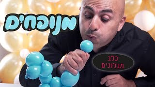 כלב מבלונים יצירה מבלוני צורות - מנופחים