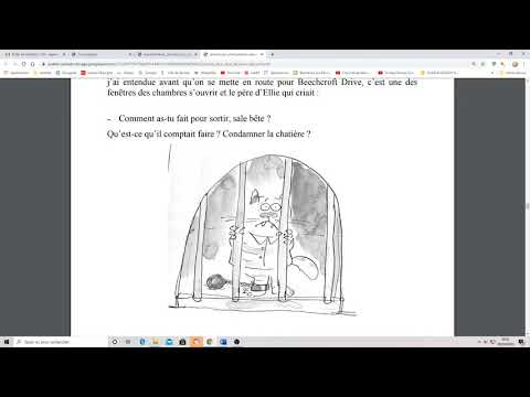 Journal d'un chat assassin chapitres 5 et 6