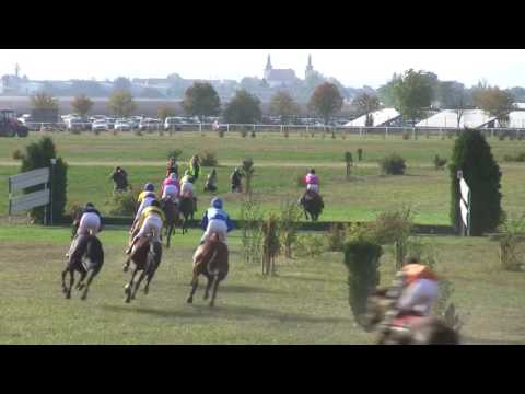 BR, 1. 10. 2016, 6. dostih - Cena společnosti ITELLIGENCE, a.s.