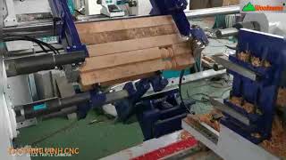 MÁY TIỆN GỖ CNC 2 Trục Nạp phôi tự động Woodmaster giá tốt nhất thị trường VN 2020