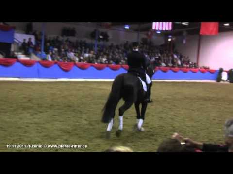 Rubinio bei Oldenburger Althengstparade 2011